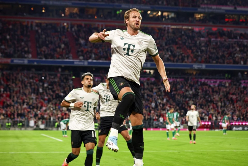 的是职业化 的是职业化